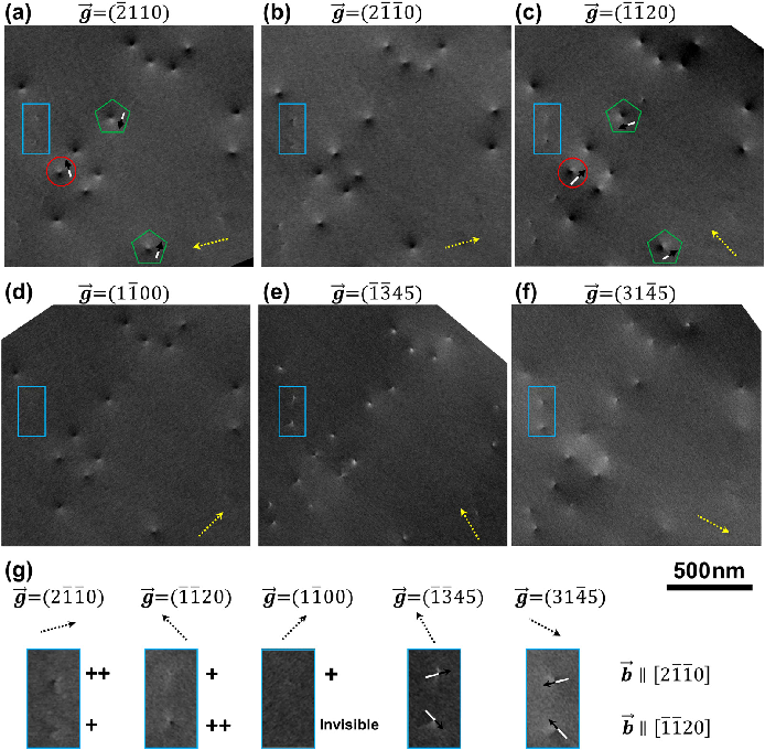 场发射静海扫描电镜