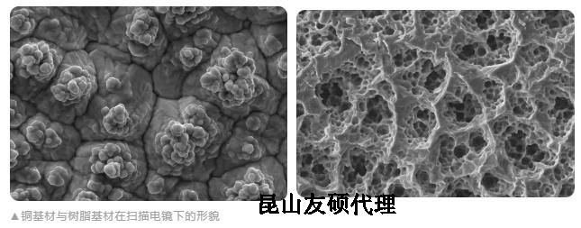 静海蔡司静海扫描电镜