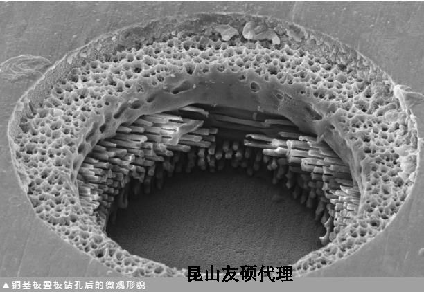 静海蔡司静海扫描电镜